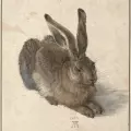 Manon Lelièvre